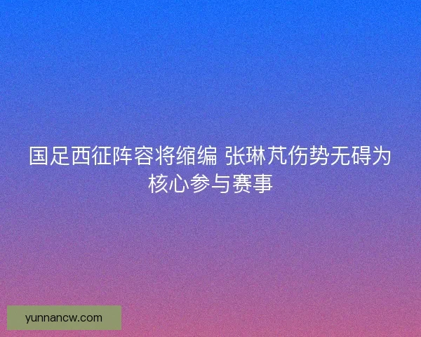 国足西征阵容将缩编 张琳芃伤势无碍为核心参与赛事